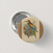 ヴィンテージイラストレーションヨーロッパビーイーター 缶バッジ (正面&裏面)