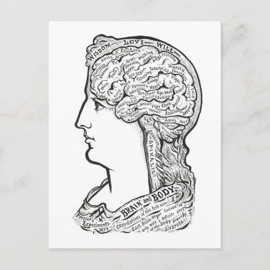 ヴィンテージイラストレーション脳体つながり ポストカード (正面)