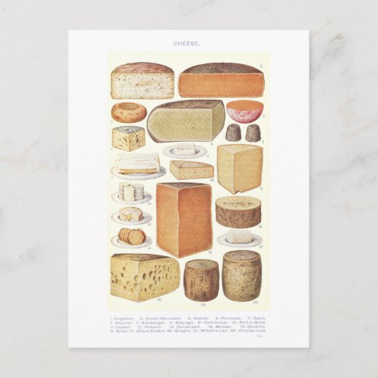 ヴィンテージイラストレーション葉書 ポストカード (正面)