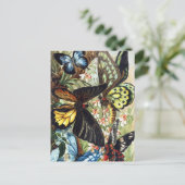 ヴィンテージイラストレーション葉書 ポストカード (スタンド正面)