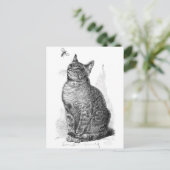 ヴィンテージイラストレーション虫よけ ポストカード (スタンド正面)