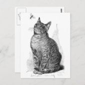 ヴィンテージイラストレーション虫よけ ポストカード (正面/裏面)