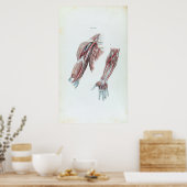 ヴィンテージイラストレーション解剖人手 ポスター (キッチン)