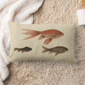 ヴィンテージイラストレーション金魚 ランバークッション (ブランケット)