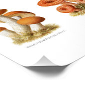 ヴィンテージイラストレーション非食用キノコ ポスター (コーナー)