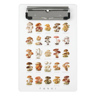 ヴィンテージイラストレーション食用非食用きのこ ミニクリップボード