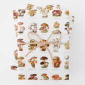 ヴィンテージイラストレーション食用非食用きのこ ラッピングペーパーシート (インサイチュ)