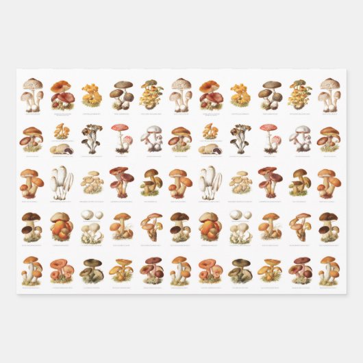 ヴィンテージイラストレーション食用非食用きのこ ラッピングペーパーシート (正面)