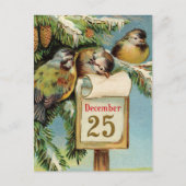 ヴィンテージイラストレーション鳥かわいいクリスマスカード シーズンポストカード (正面)
