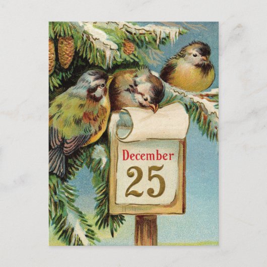 ヴィンテージイラストレーション鳥かわいいクリスマスカード シーズンポストカード (正面)
