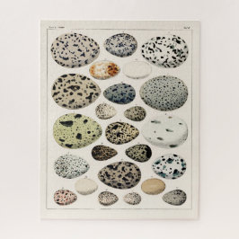 ヴィンテージイラストレーション鳥卵ジグソー ジグソーパズル