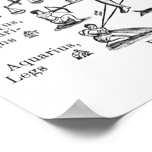 ヴィンテージイラストレーション12のシンボルや象徴の〔占星術の〕十二宮図 ポスター (角)