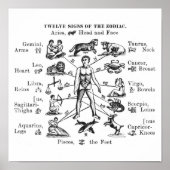 ヴィンテージイラストレーション12のシンボルや象徴の〔占星術の〕十二宮図 ポスター (正面)