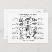 ヴィンテージイラストレーション12のシンボルや象徴の〔占星術の〕十二宮図 ポストカード (正面/裏面)