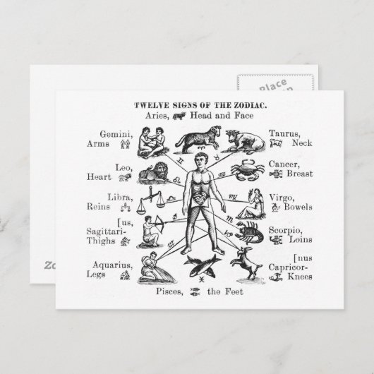 ヴィンテージイラストレーション12のシンボルや象徴の〔占星術の〕十二宮図 ポストカード (正面/裏面)