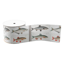 ヴィンテージイラストレーション グログランリボン