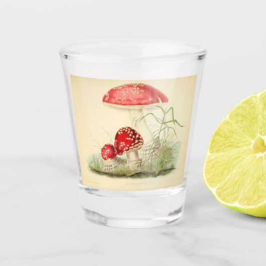 ヴィンテージイラストレーション ショットグラス (正面)