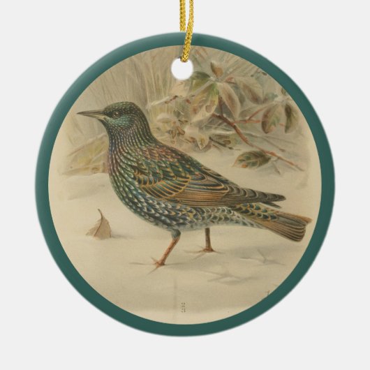 ヴィンテージイラストレーション セラミックオーナメント (正面)