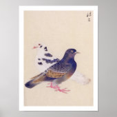 ヴィンテージイラストレーション:ハト ポスター (正面)