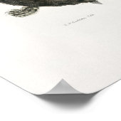 ヴィンテージイラストレーション ポスター (角)