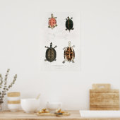 ヴィンテージイラストレーション ポスター (キッチン)