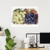 ヴィンテージイラストレーション ポスター (ホームオフィス)