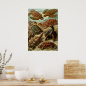 ヴィンテージイラストレーション ポスター (キッチン)