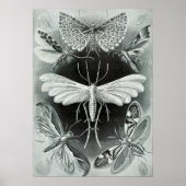 ヴィンテージイラストレーション ポスター (正面)