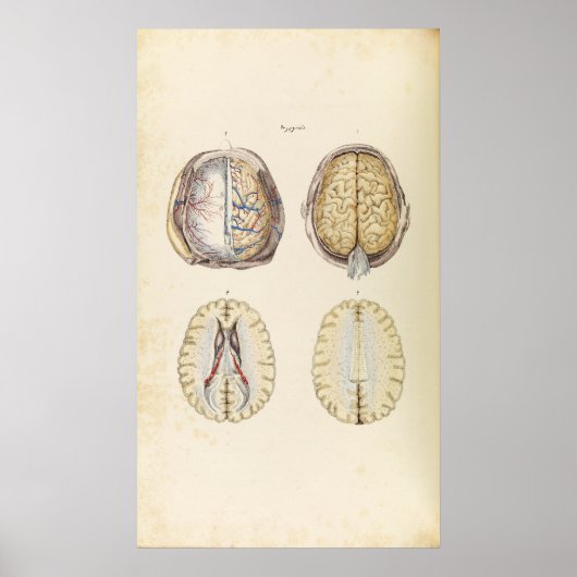 ヴィンテージイラストレーション ポスター (正面)