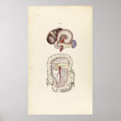 ヴィンテージイラストレーション ポスター (正面)