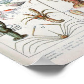 ヴィンテージイラストレーション ポスター (角)