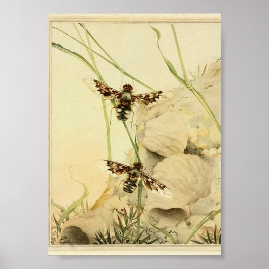 ヴィンテージイラストレーション ポスター (正面)