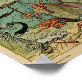 ヴィンテージイラストレーション ポスター (角)