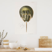 ヴィンテージイラストレーション ポスター (キッチン)