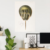 ヴィンテージイラストレーション ポスター (ホームオフィス)