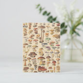 ヴィンテージイラストレーション ポストカード (スタンド正面)