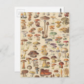 ヴィンテージイラストレーション ポストカード (正面/裏面)