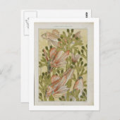 ヴィンテージイラストレーション ポストカード (正面/裏面)