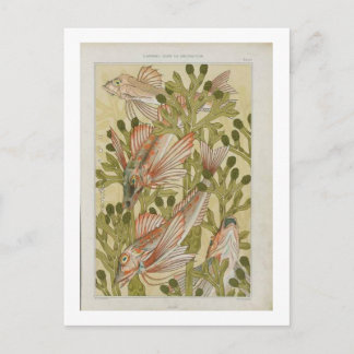 ヴィンテージイラストレーション ポストカード