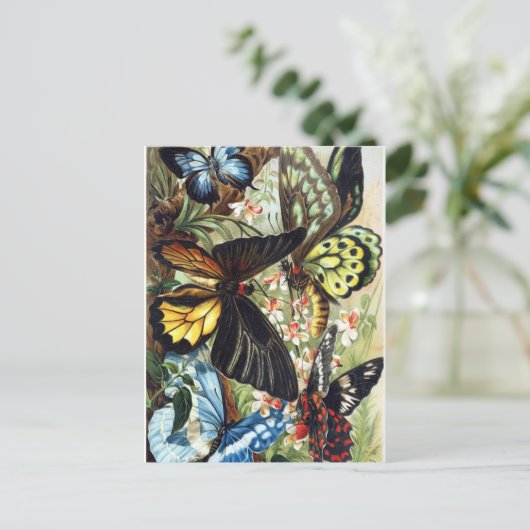 ヴィンテージイラストレーション ポストカード (スタンド正面)