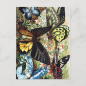 ヴィンテージイラストレーション ポストカード (正面)