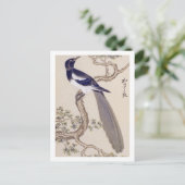 ヴィンテージイラストレーション：ユーラシア産マグピー ポストカード (スタンド正面)