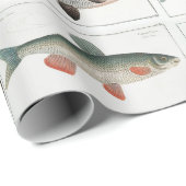 ヴィンテージイラストレーション ラッピングペーパー (ロールコーナー)