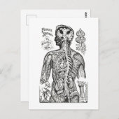 ヴィンテージイラストレーション:人間の解剖図 ポストカード (正面/裏面)