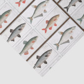 ヴィンテージイラストレーション 薄葉紙 (詳細)