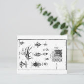 ヴィンテージイラストレーション – 蜂とハニカム ポストカード (スタンド正面)