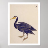 ヴィンテージイラストレーション：鵜 ポスター (正面)