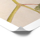 ヴィンテージイラストレーション: Kingfisher ポスター (角)