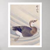 ヴィンテージイラストレーション: Spot-Bed Duck ポスター (正面)