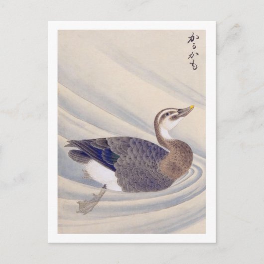 ヴィンテージイラストレーション: Spot-Bed Duck ポストカード (正面)